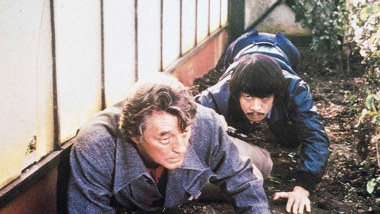 The Amsterdam Kill (1977) 0