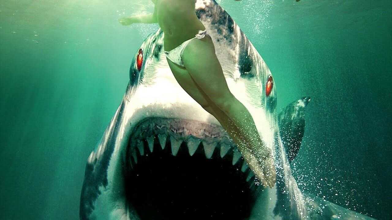 Ghost Shark 0