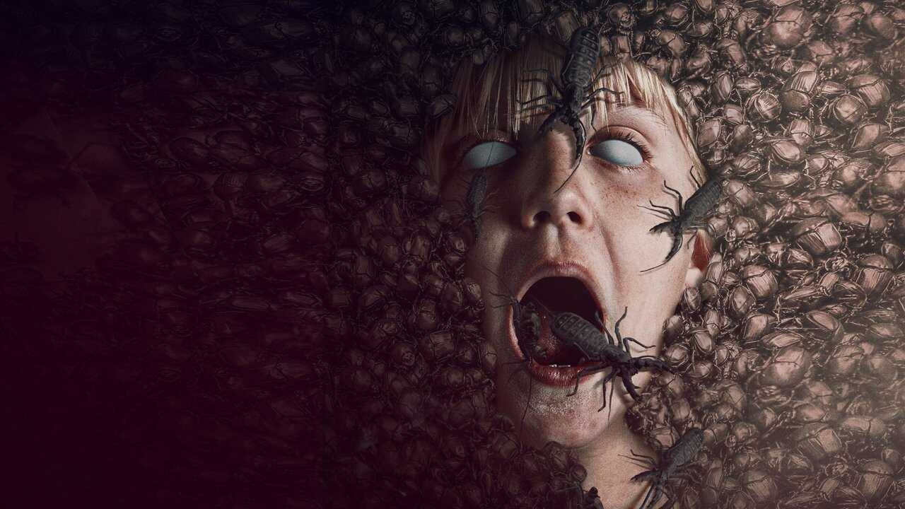 The Nest 0