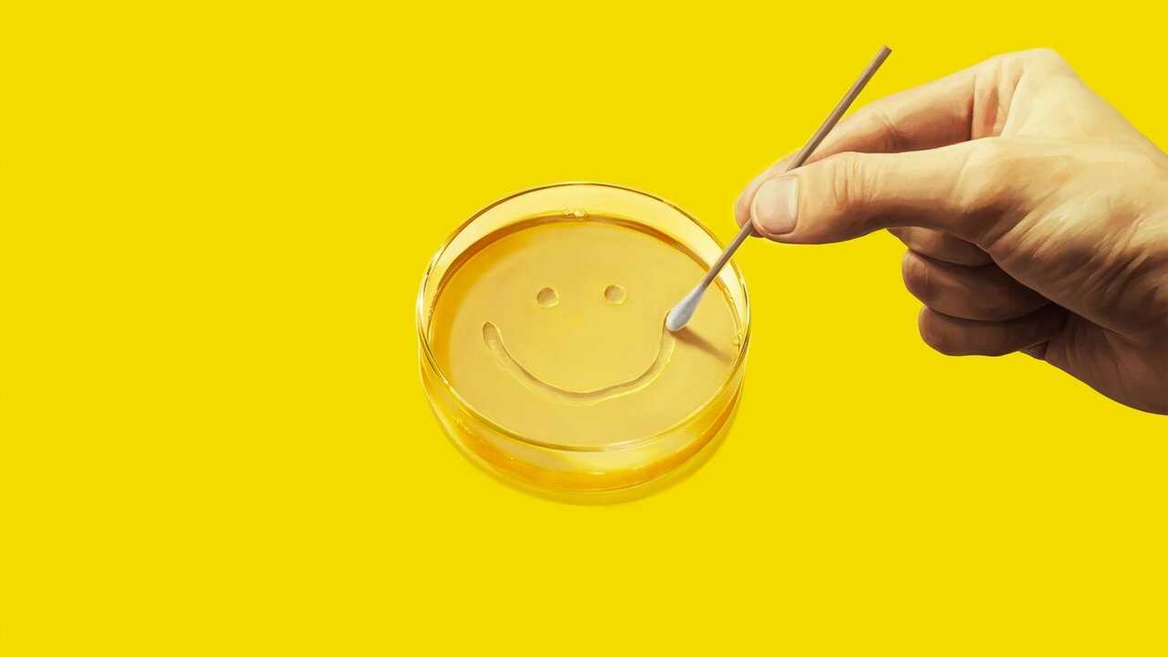 ES - Pluribus (2025) (US) 2