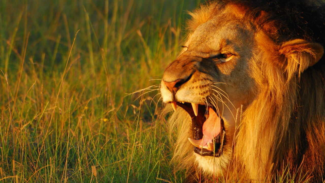 EN - Secret World Of Sound With David Attenborough (2024) 0