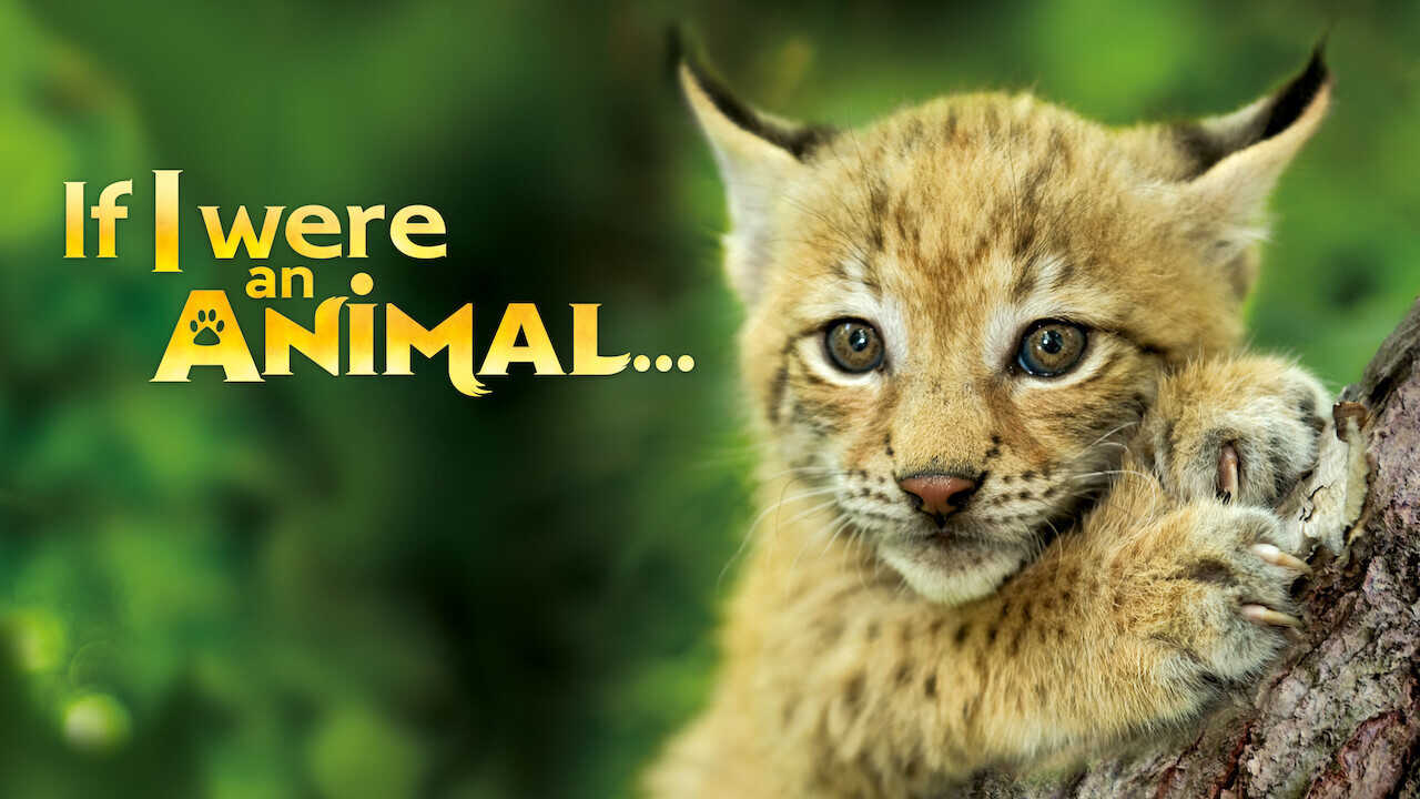 NF - If I were an Animal 1