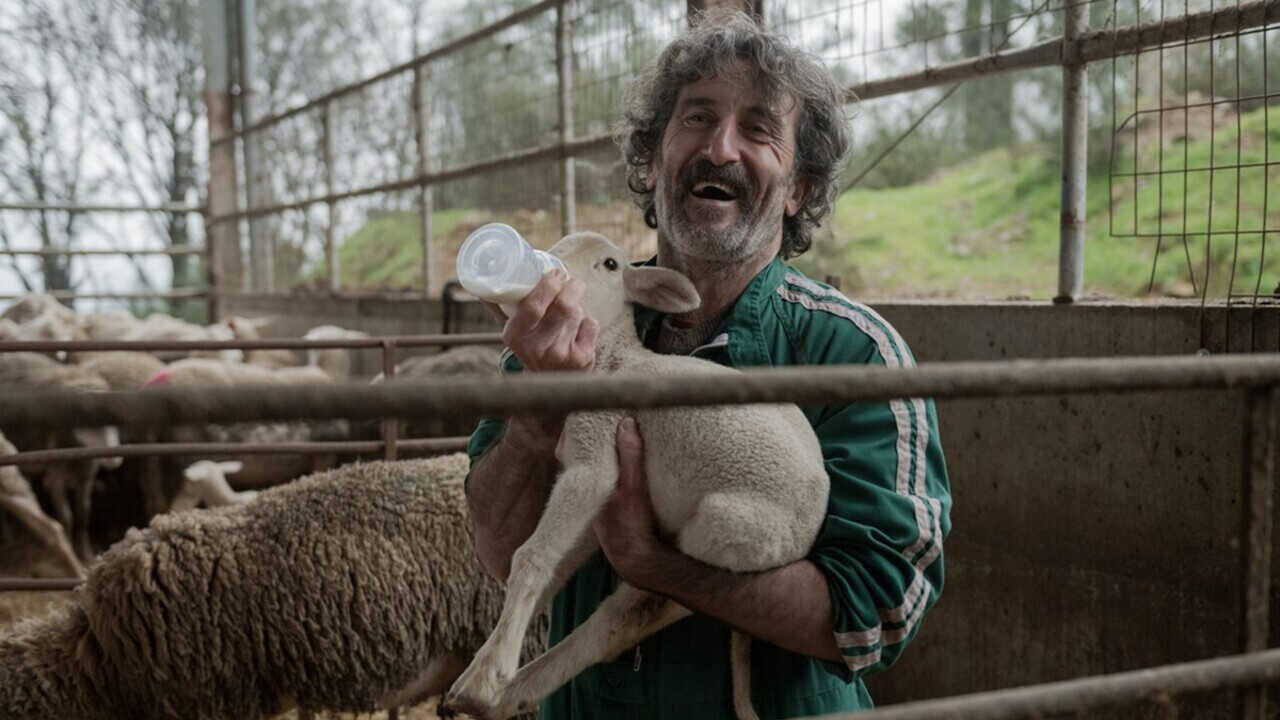 ES - Animal (2025) (ES) 1