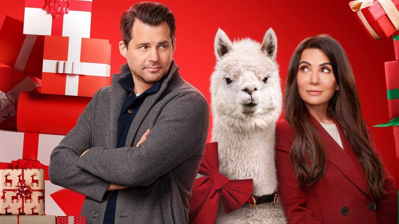We Wish You a Married Christmas (2022) 0
