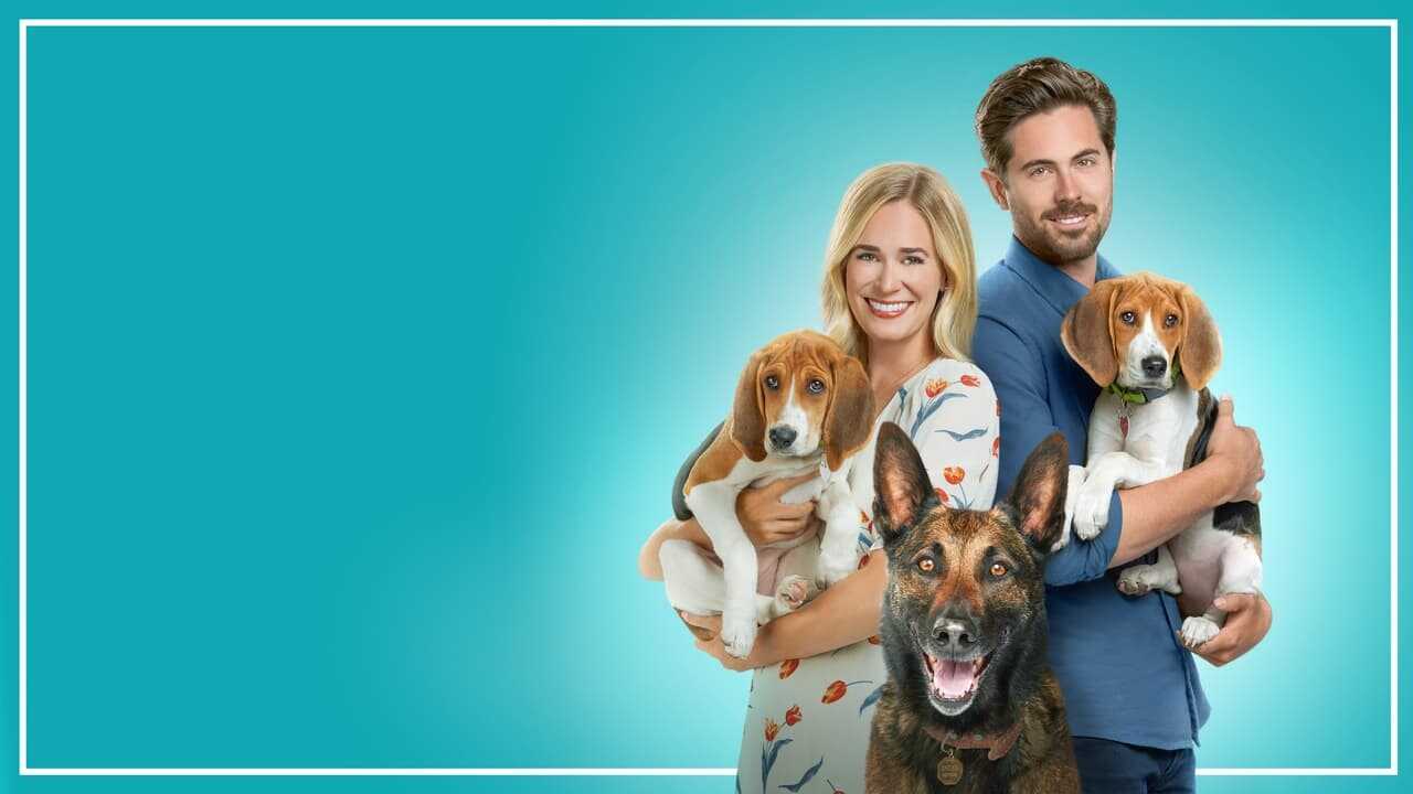 Złapać miłość za ogon (2022) 0
