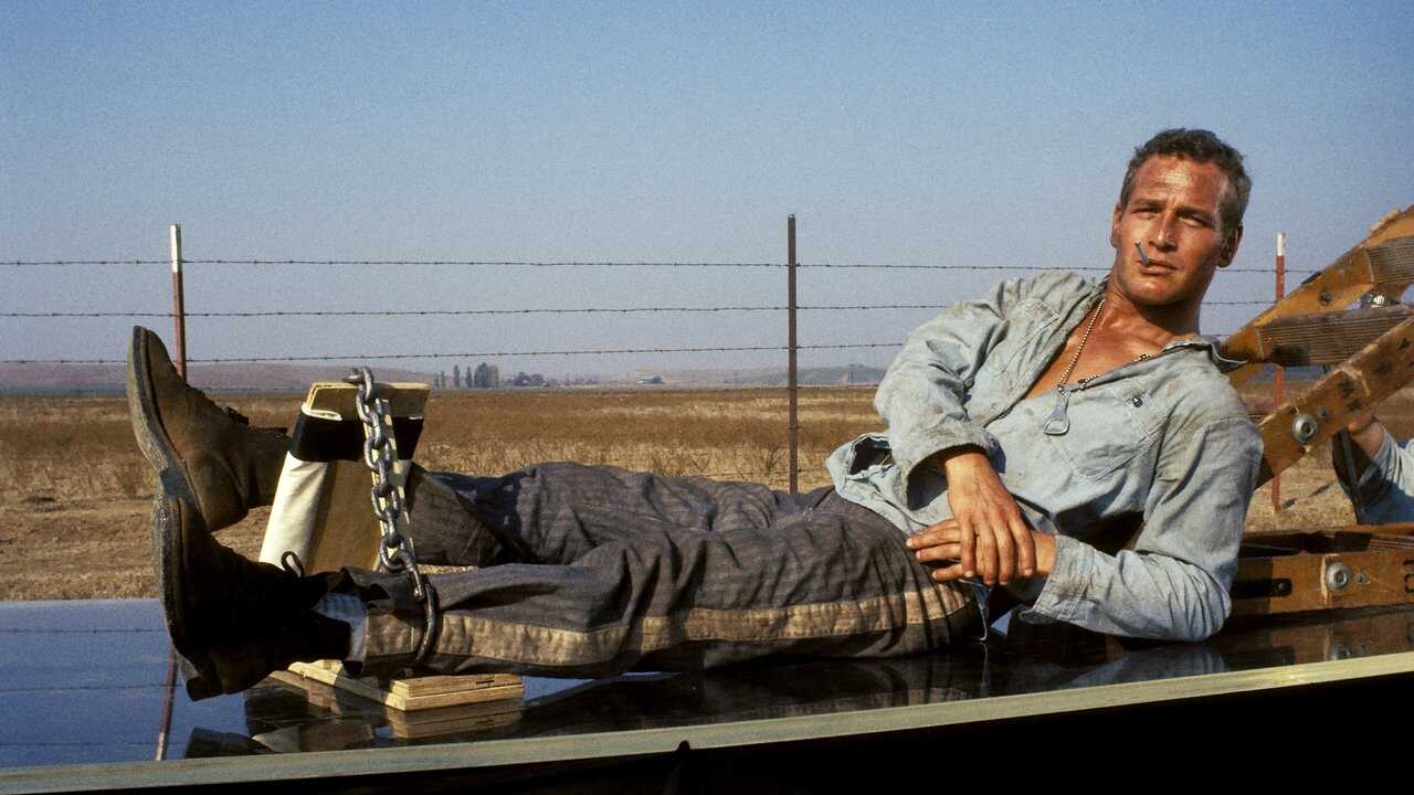 Cool Hand Luke 0