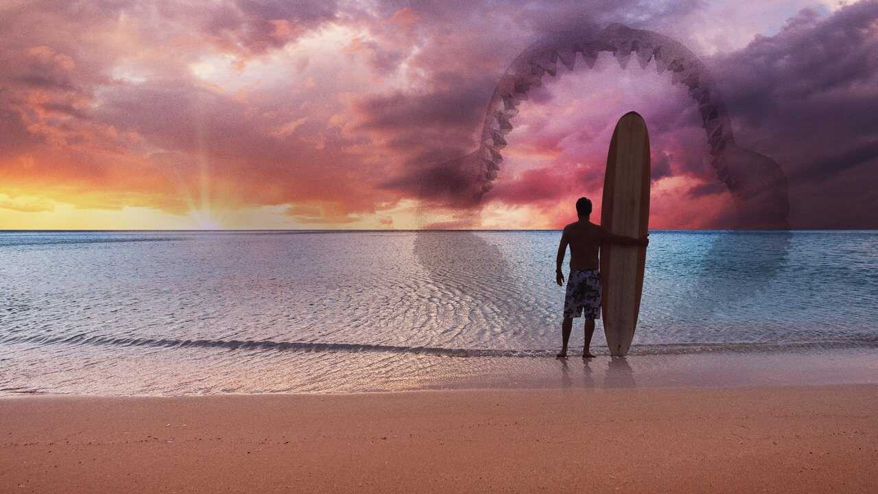 Shark vs. Surfer 0
