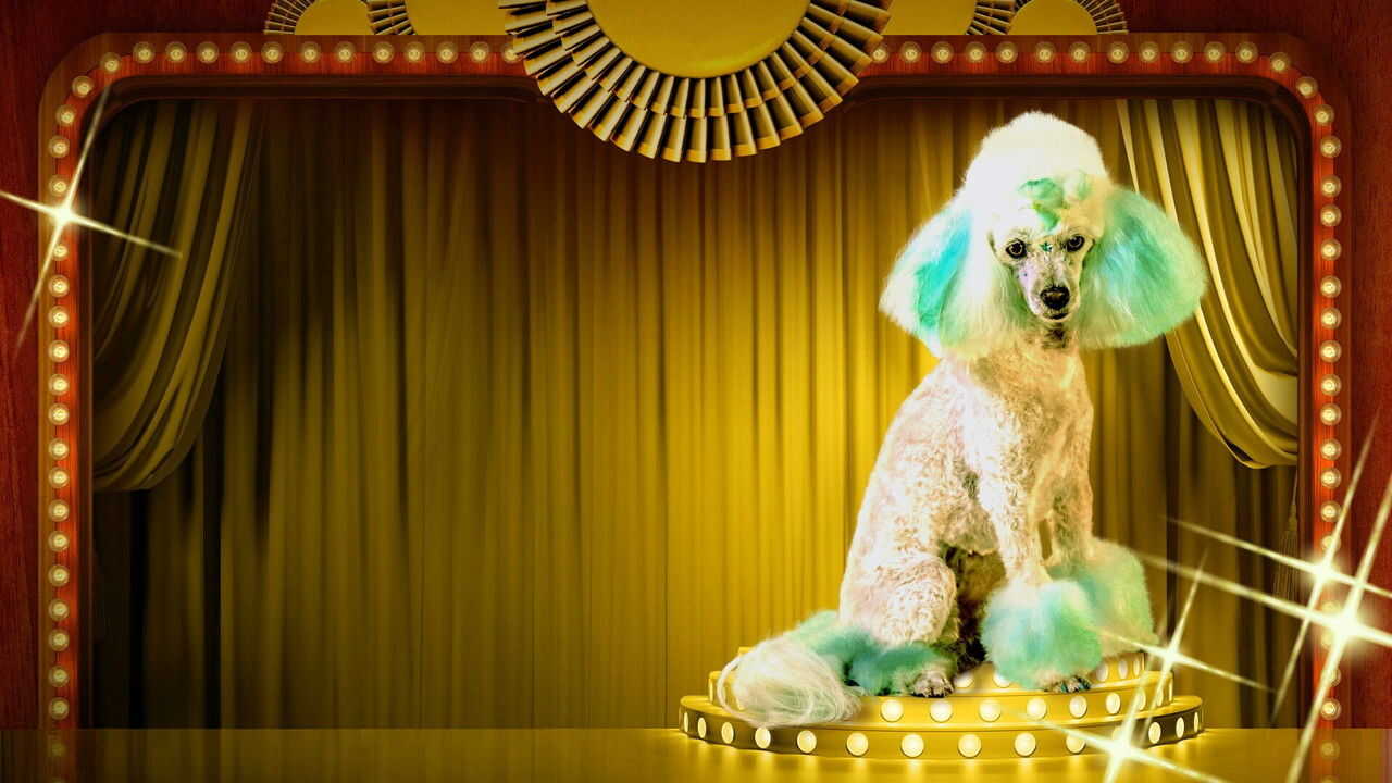 EN - Haute Dog (2020) 4