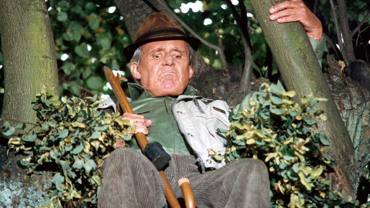 Silberdisteln (1998) 0