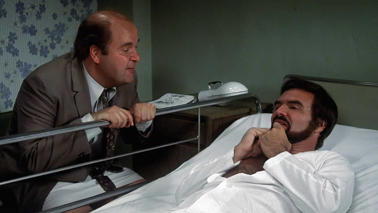 Nobody Is Perfect (1978) 0