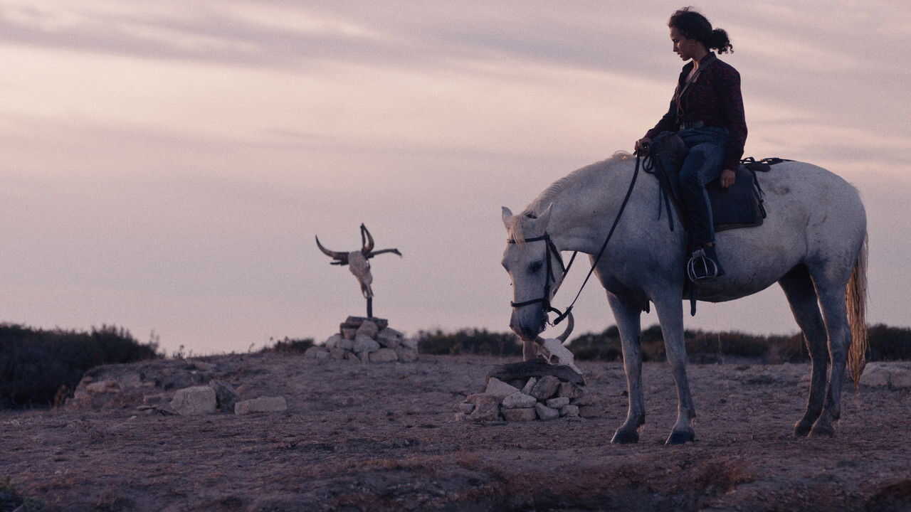 Animale (2024) 0