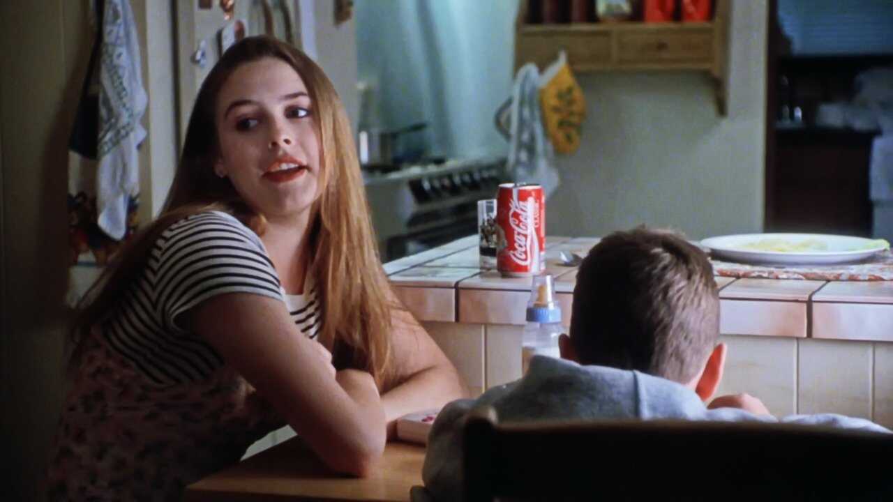 The Babysitter (1995) 0