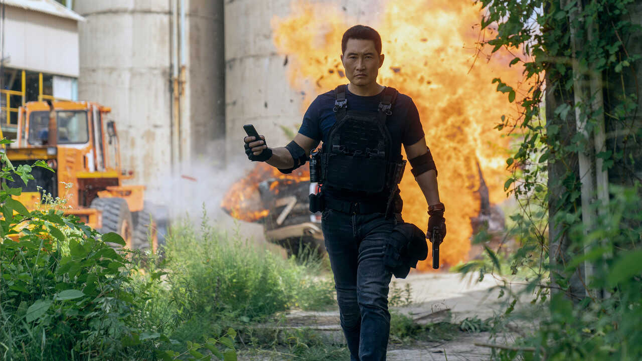 4K - Butterfly (2025) (US) 4