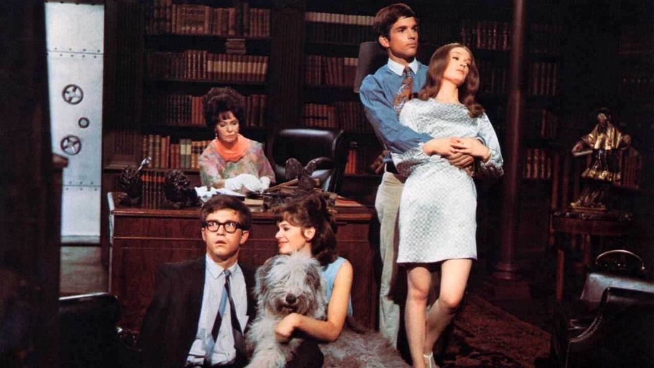 You're a Big Boy Now (1966) 0