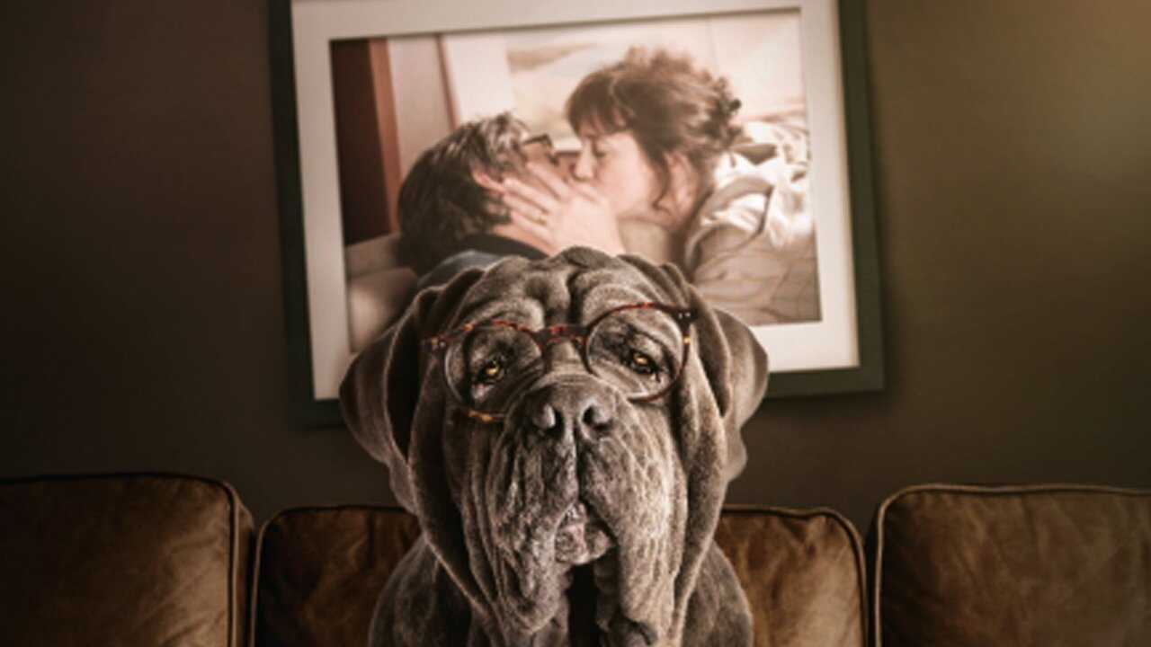 Der Hund bleibt (2019) 0