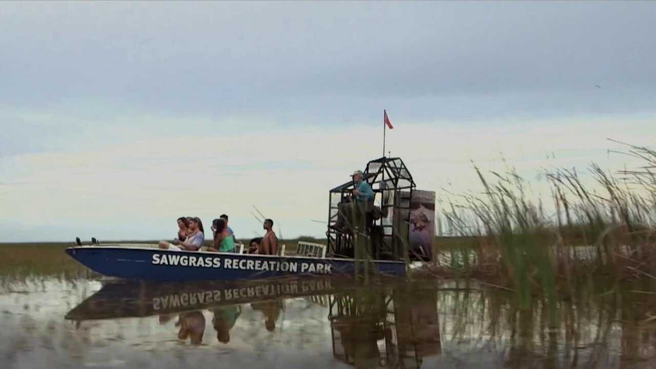 Lake Fear 2: The Swamp 0
