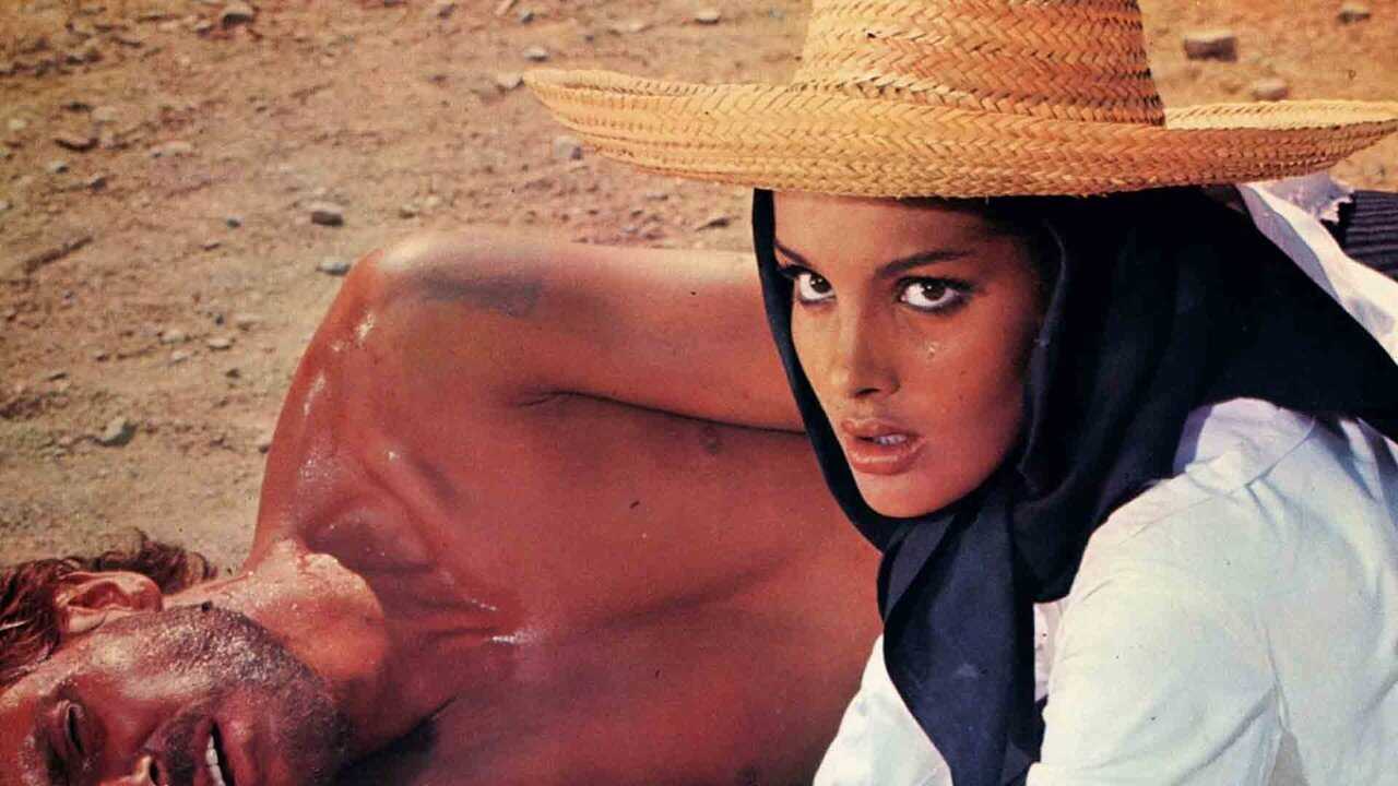 Die 7 Pistolen des McGregor (1966) 0