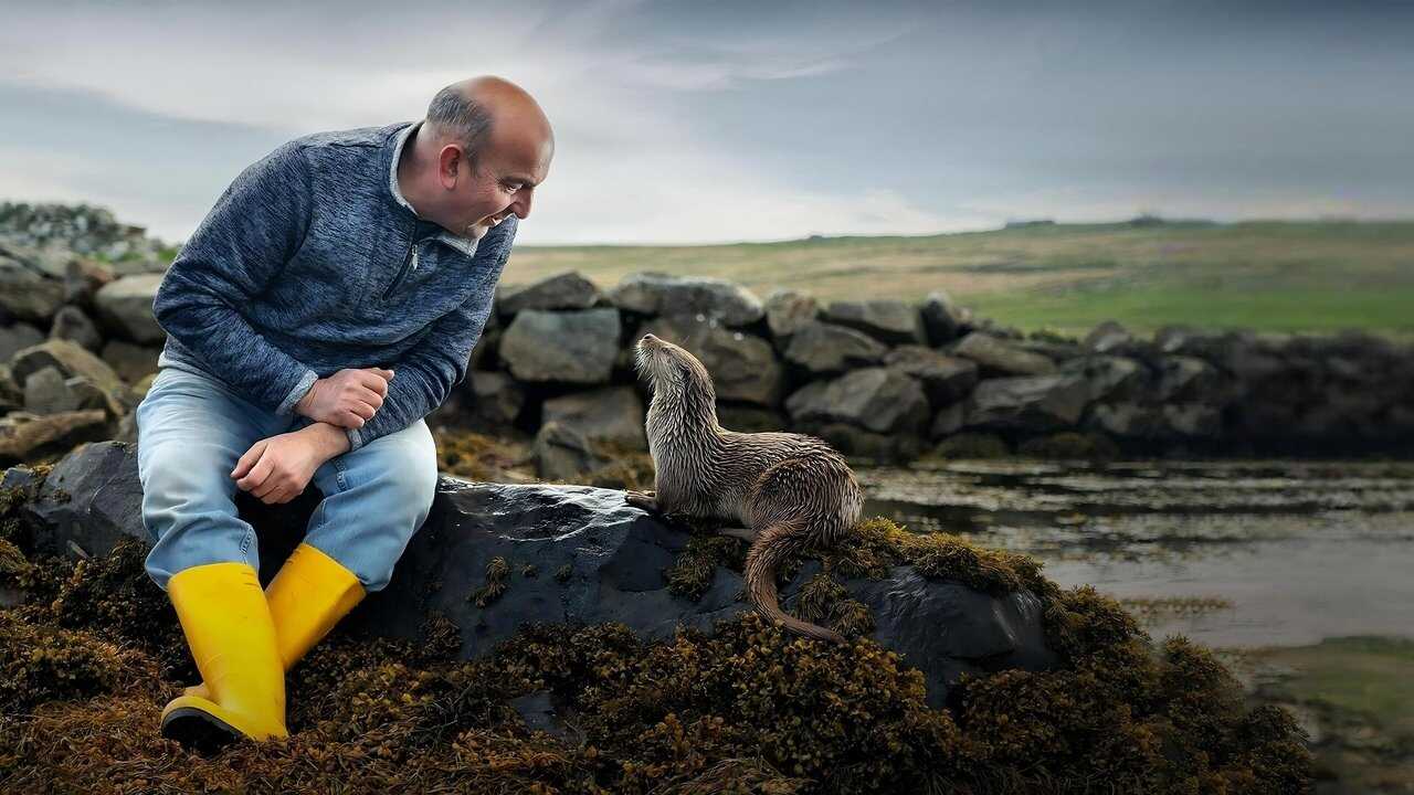 Billy & Molly: An Otter Love Story (2024) 0
