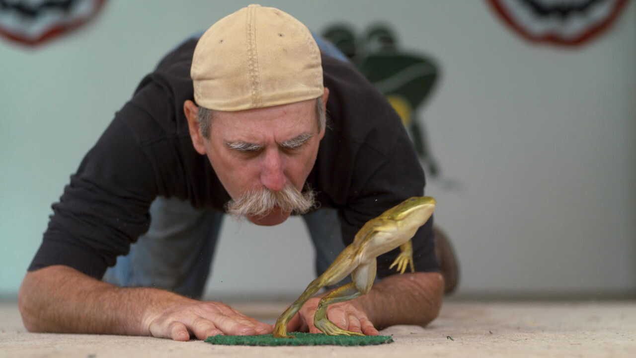 NF - We Are the Champions 2