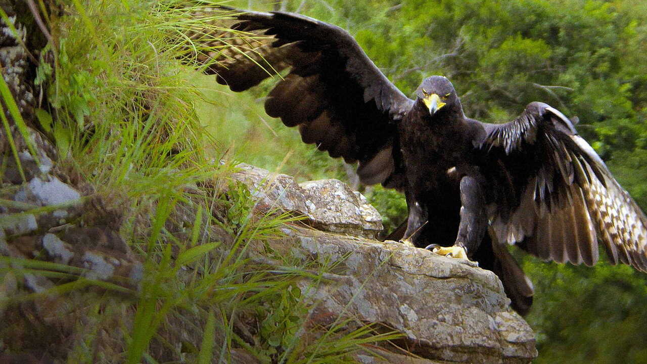 EN - Africa's Hidden Kingdoms (2016) 2