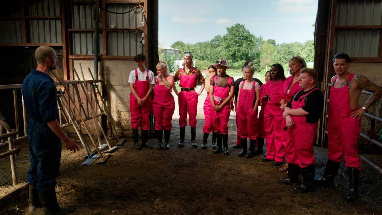 NL - HAKKEN OVER DE SLOOT (2025) 0