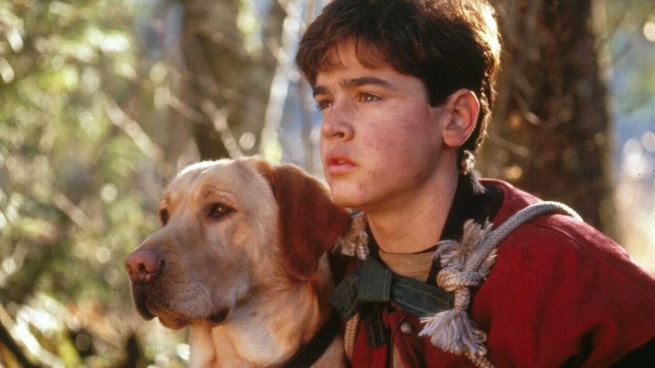 Far from Home: The Adventures of Yellow Dog (1995) 0