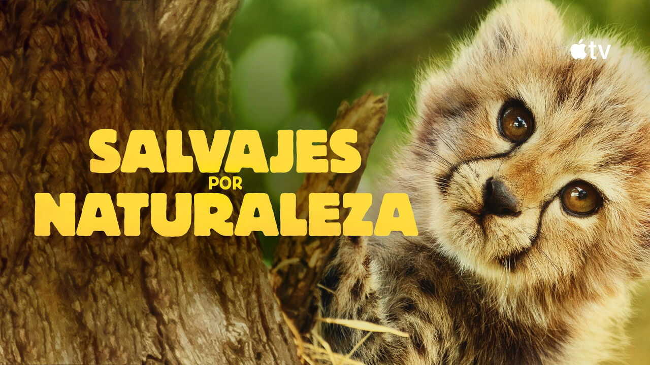 AR - وُلدتُ لأكون متوحشة (2025) (GB) 3