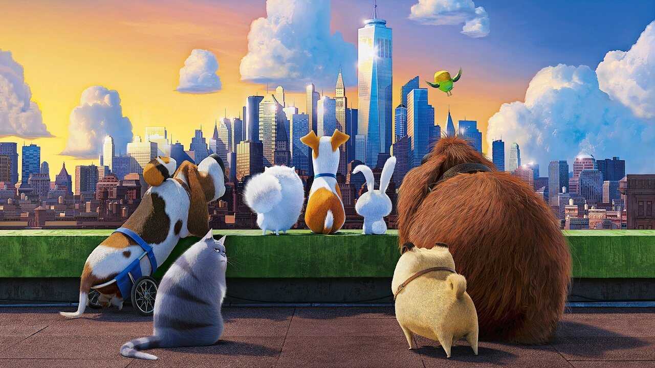 Mascotas (2016) 0