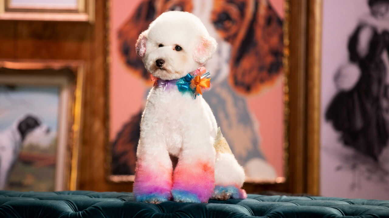 EN - Haute Dog (2020) 3