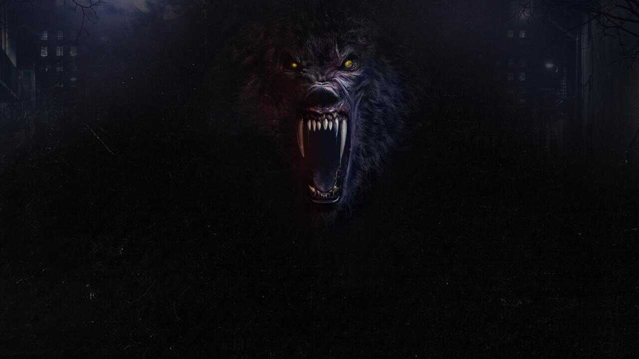 Werewolves 0