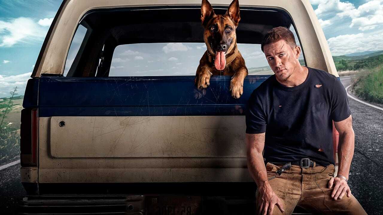 Dog 0