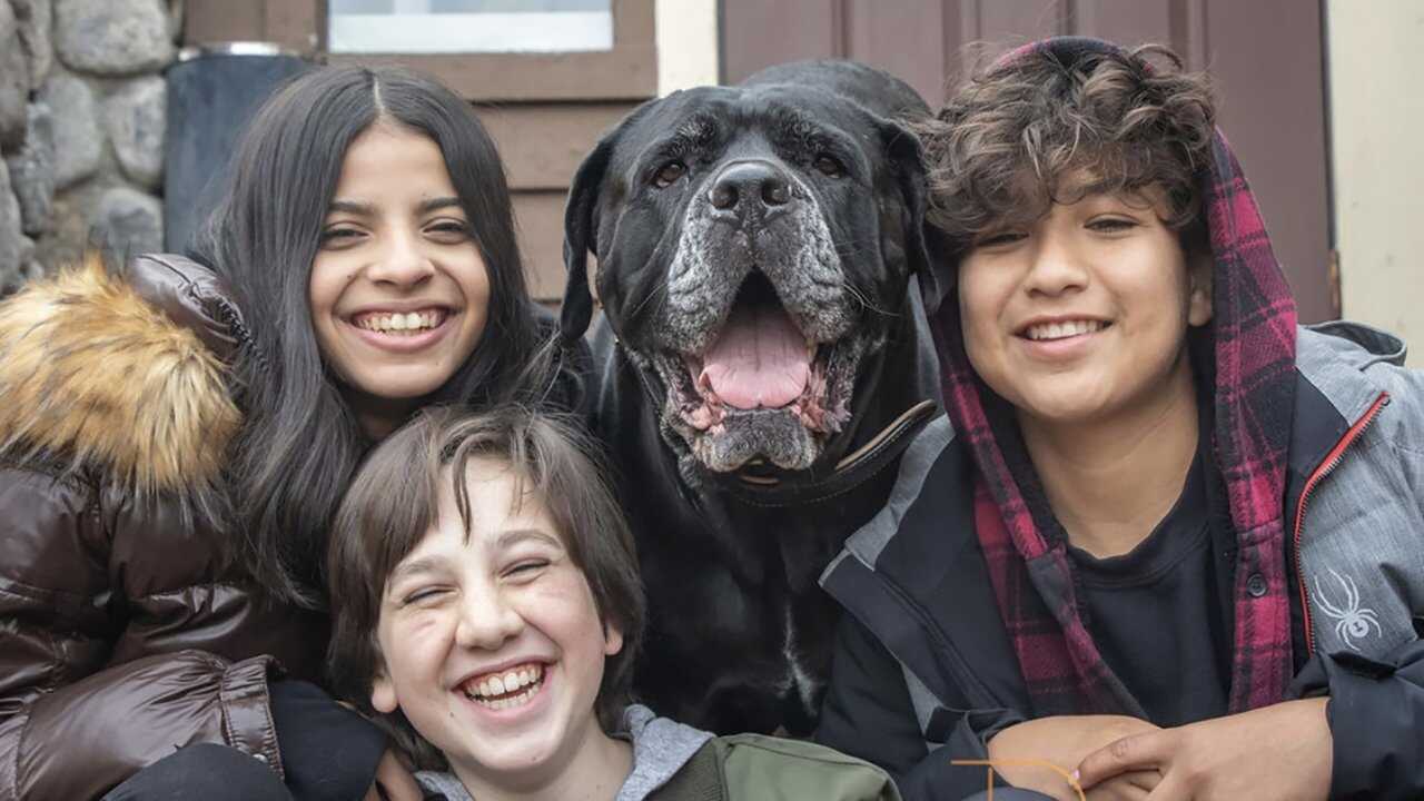 Dog Patrol: Operation Santa Paws 0