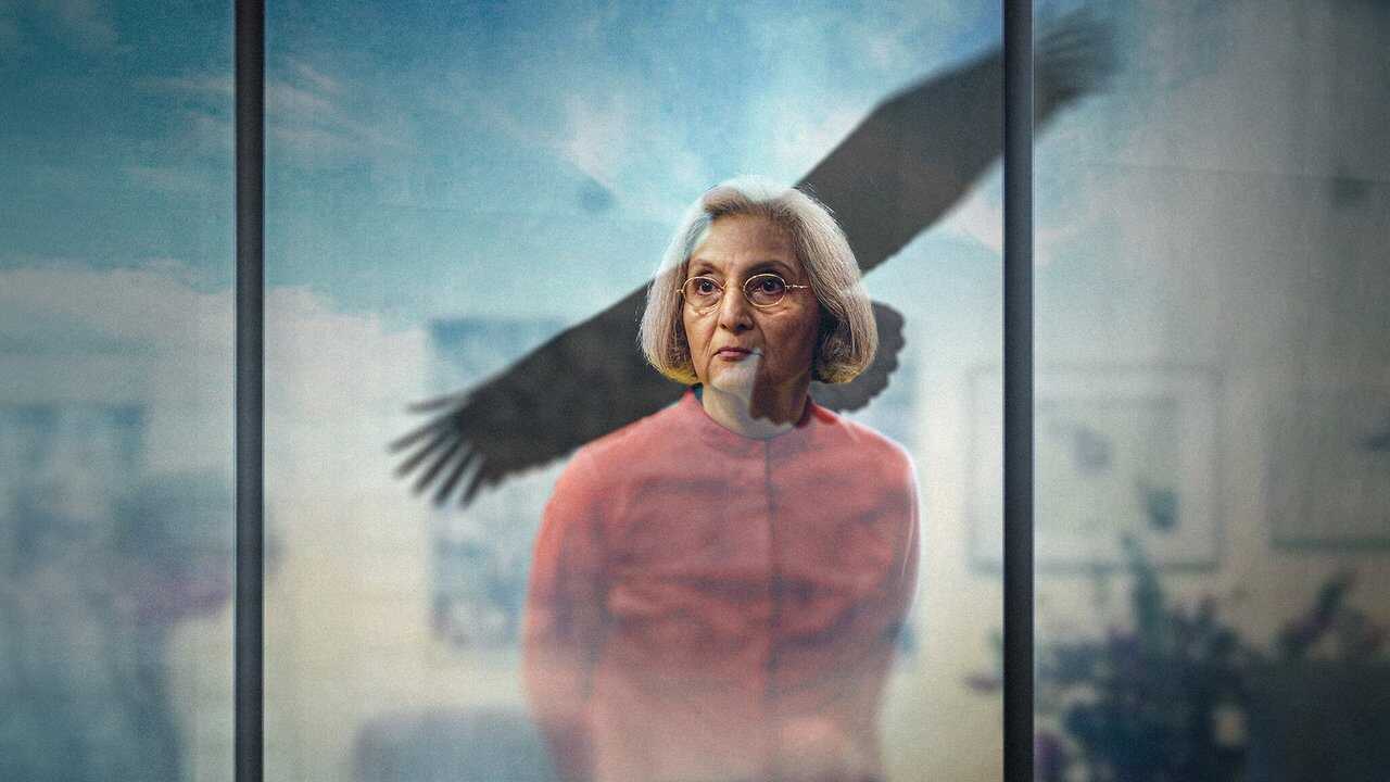 Searching for Sheela 0