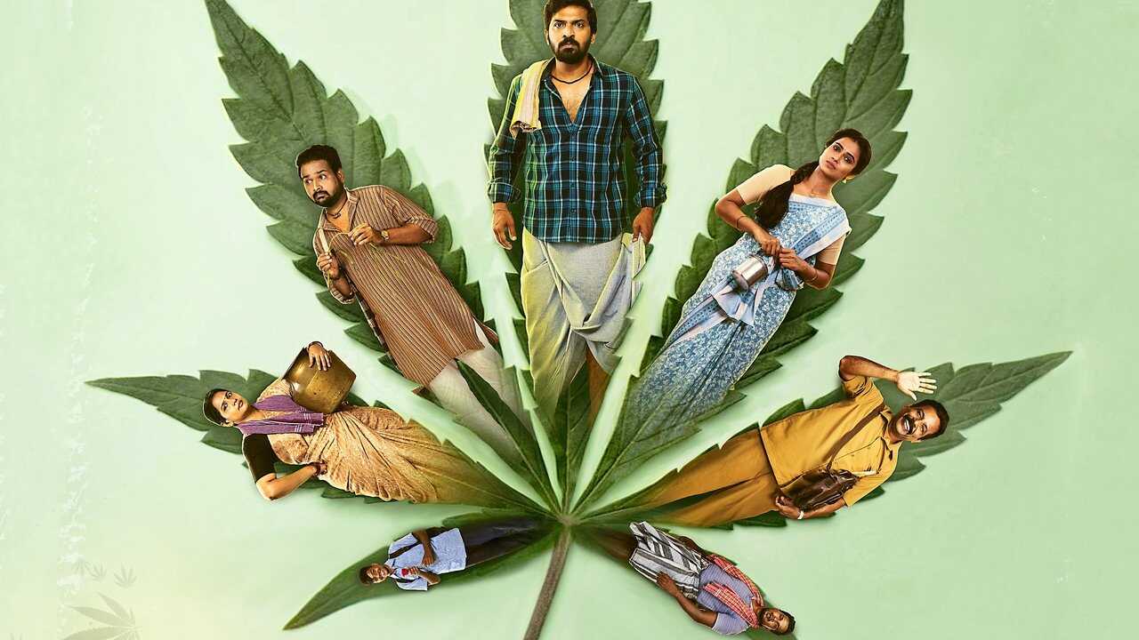 TM - Accidental Farmer & Co. 0