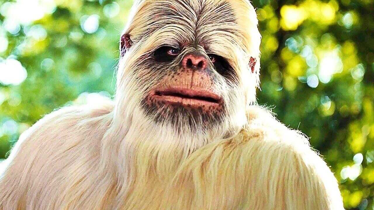 сНежный человек (2025) 0