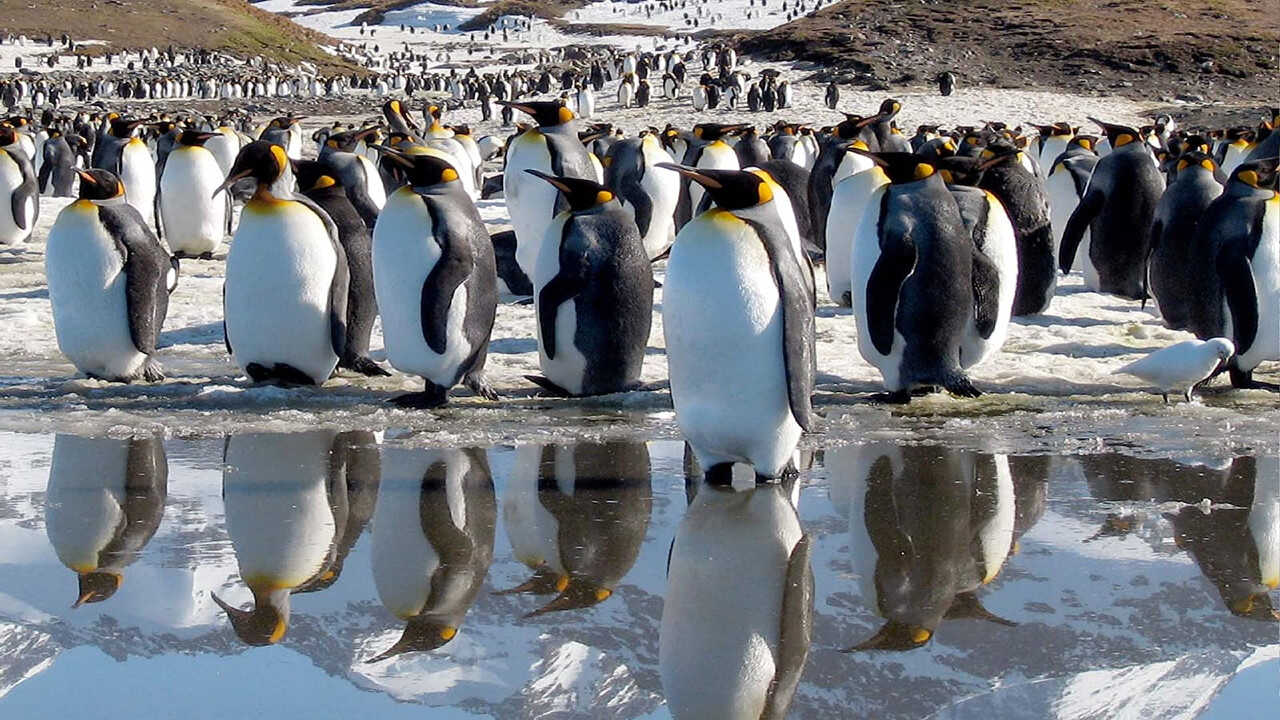 EN - David Attenborough's Life (2009) 1