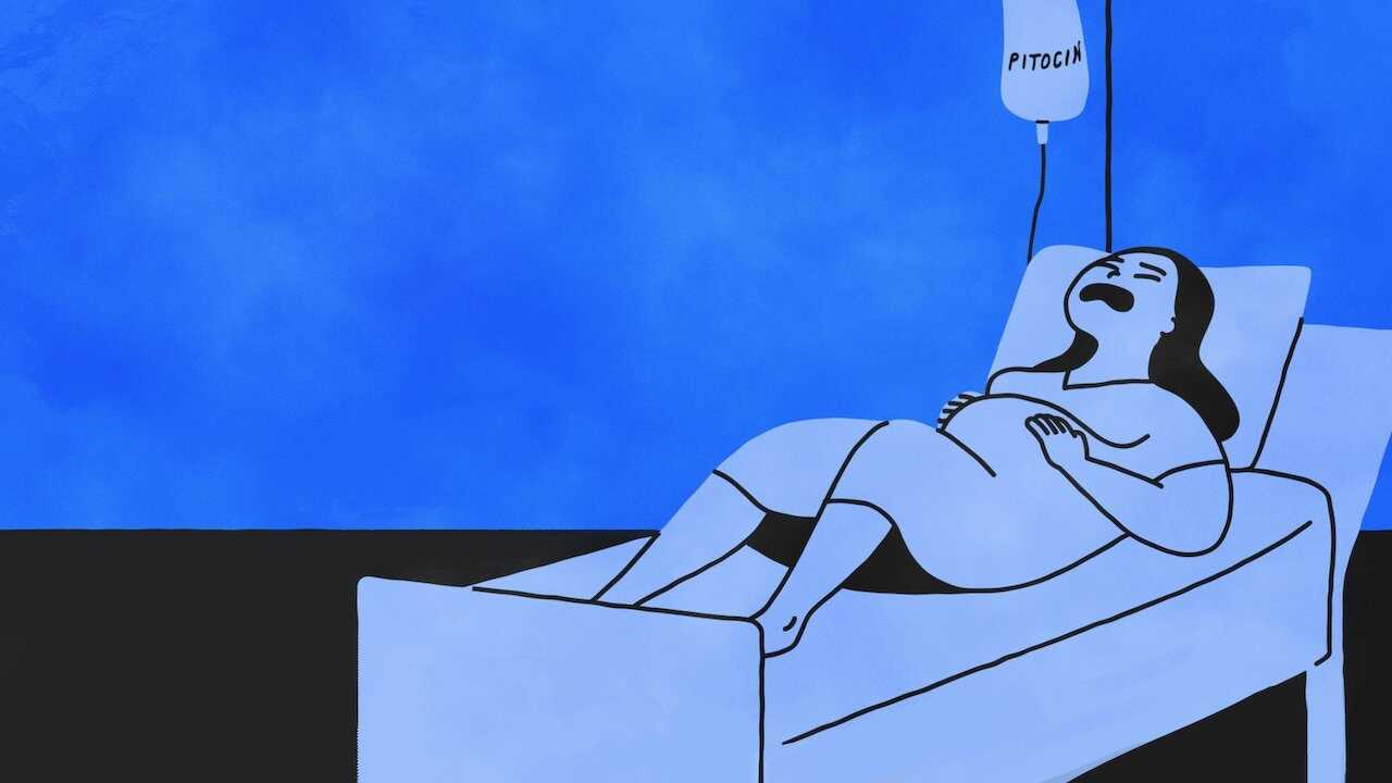 NF - Sex Explained 0