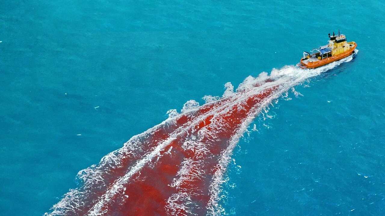 Dangerous Animals (2025) 0