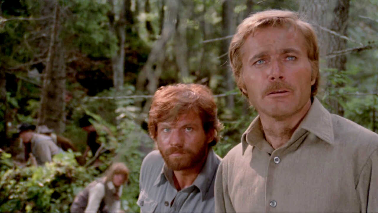 Jack London's Wolfblut (1973) 0