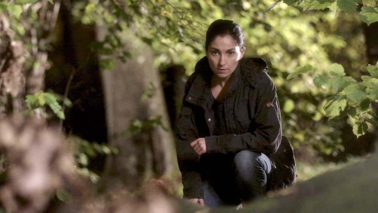 Johan Falk: Alla råns moder (2012) 0