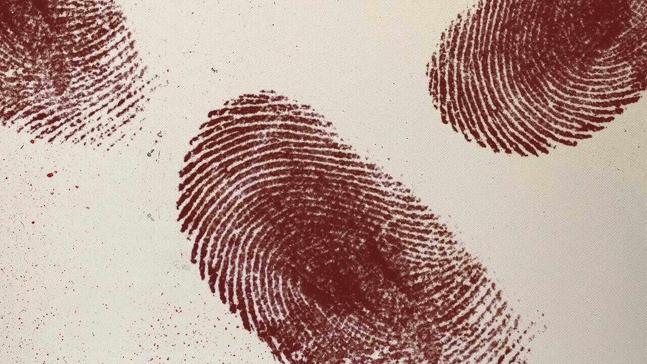 NL - TRUE CRIME BELGIUM 0