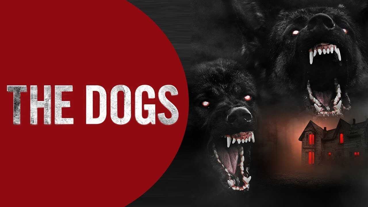 The Dogs (2025) 0