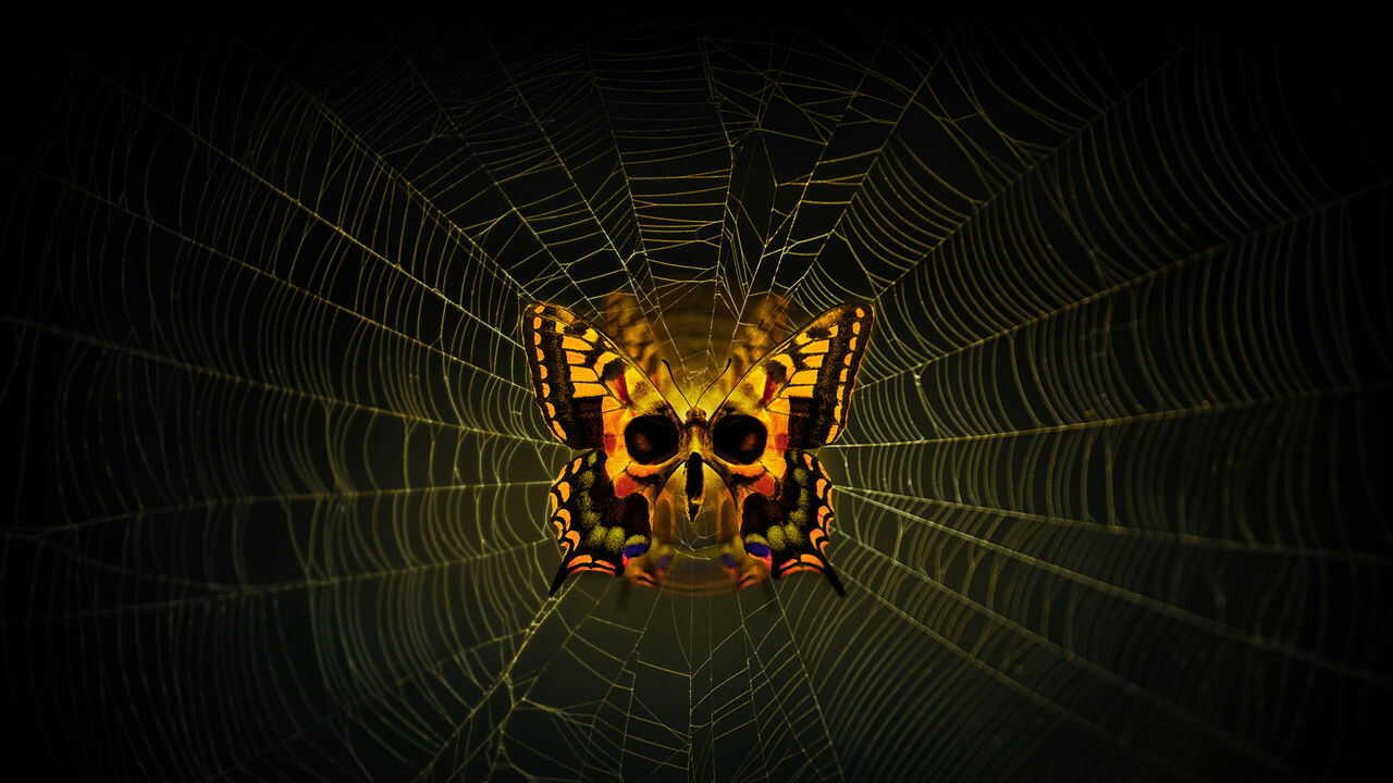 4K-DE - Moskito-Küste (2021) (US) 4