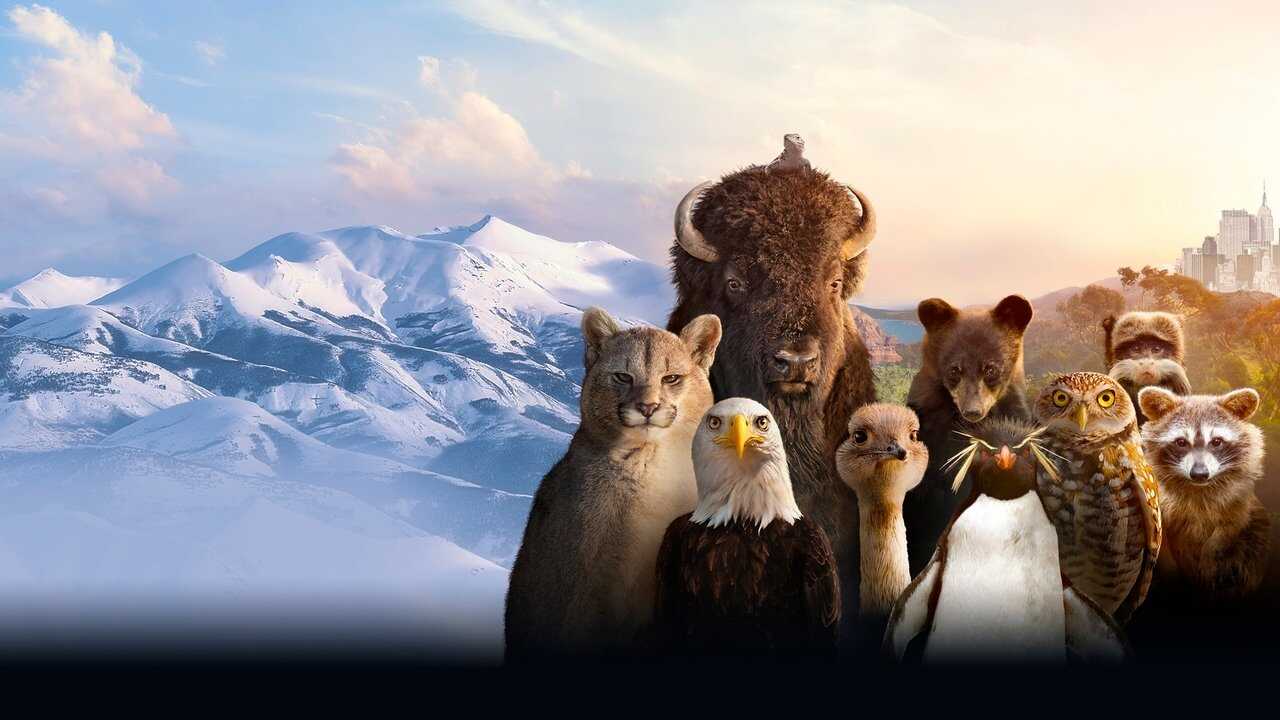 EN - The Americas (2025) 4