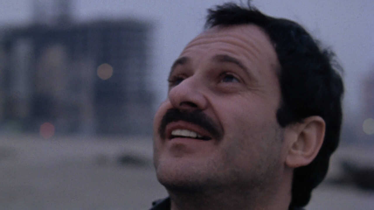 Dear Mr. Wonderful (1982) 0