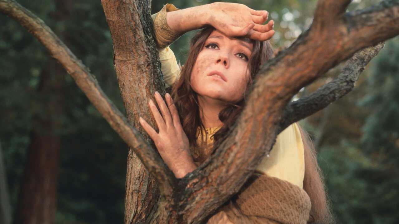 A Midsummer Night's Dream (1968) 0