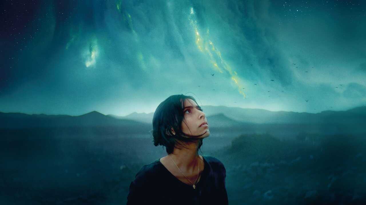 Animalia (2023) 0
