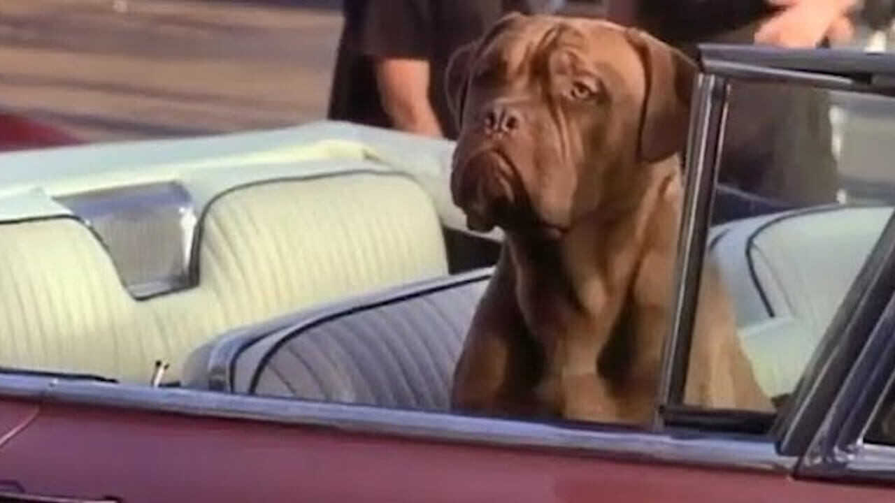 DE - Tequila und Bonetti (1992) (US) 0