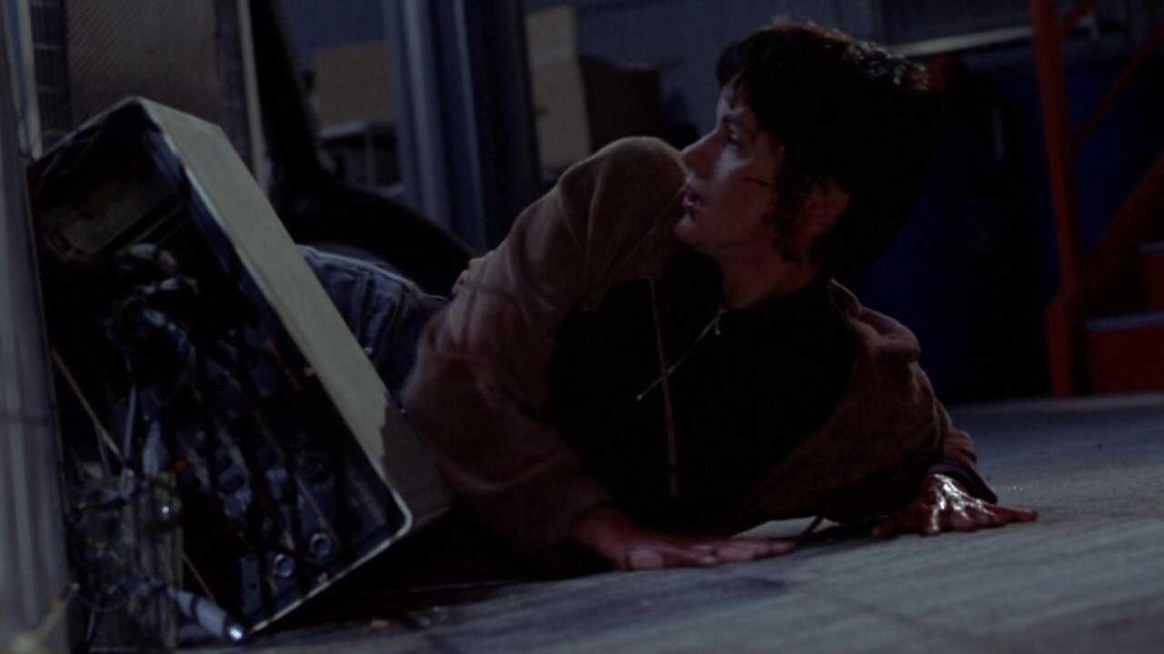 Der Tod kommt auf vier Pfoten (1993) 0