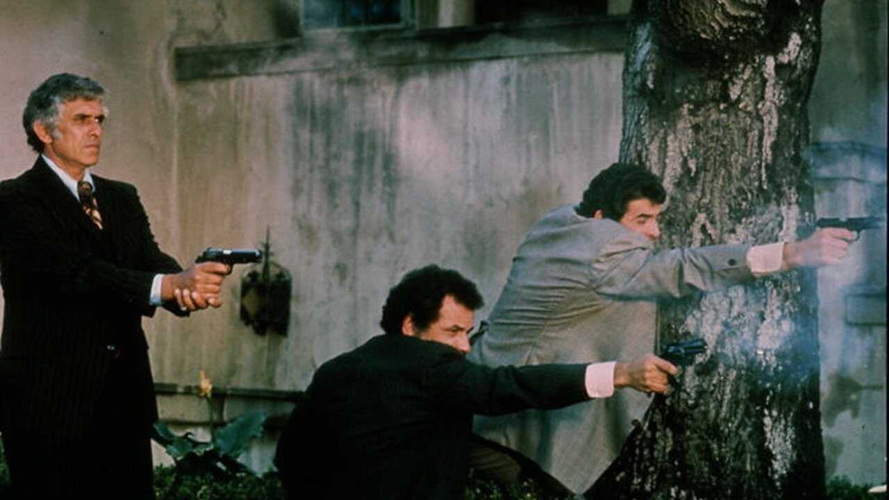 The Don Is Dead (1973) 0